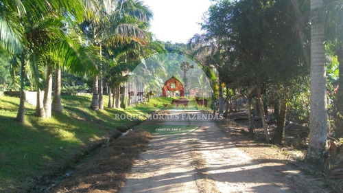 Imagem 8 de 19 de Fazenda À Venda Medindo 52 Alqueires Paulista No Vale Do Ribeira Sp