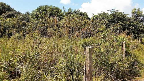 Imagem 18 de 21 de Terreno Beira Mar Em Marau - Te0028