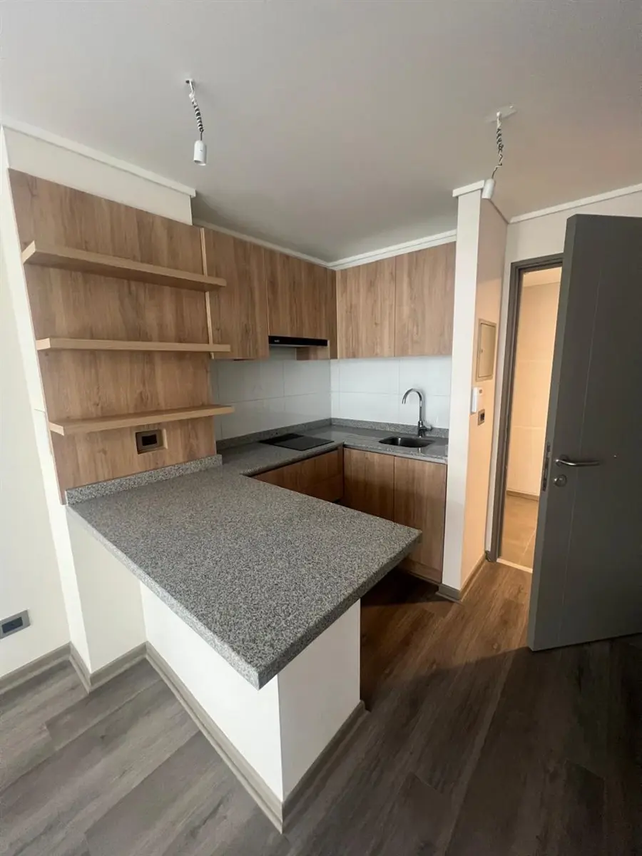 Imagen 3 de 24 de Departamento En Arriendo En Santiago