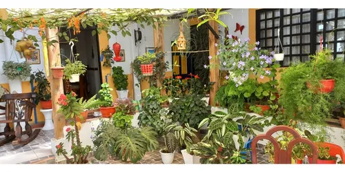 Se Vende Finca Circasia Quindío