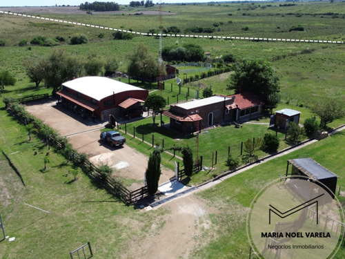 Venta Campo Solís De Mataojo