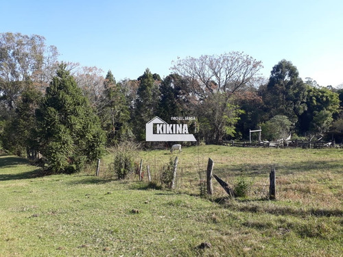 Chácara Para Venda - 11039