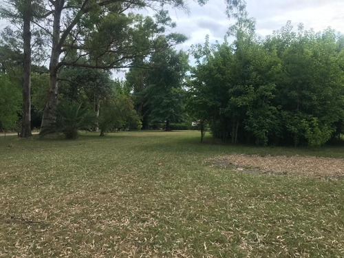 Imagen 3 de 22 de Terreno En Venta - El Remanso, Exaltación De La Cruz - 2.776m2