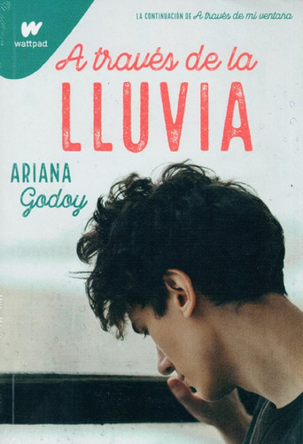 Libro En Fisico A Traves De La Lluvia Por Ariana Godoy