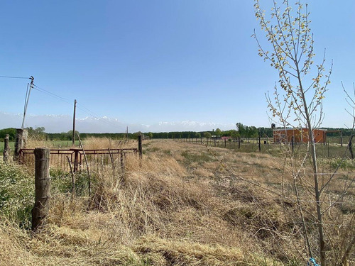 Venta | Terreno | Vista Flores | Tunuyán | Valle De Uco | 2.178 M2