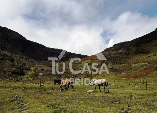Finca Agrícola Gavidia - Mucuchies