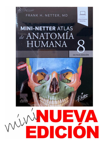 Mini-netter Atlas De Anatomía Humana 7a Libroriginal Y Nuevo