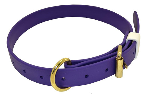 J & J Dog Supplies Boithane Collar Para Perros De 1 De Anch