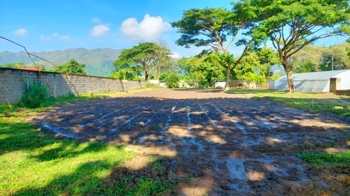 Terreno En Valle De Oro, Conjunto Los Mangos - San Diego