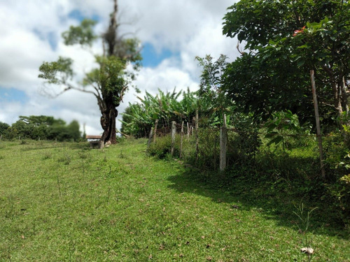 Imagem 6 de 6 de L22- Terrenos Para Chácara No Interior