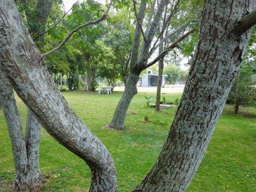 Imagen 4 de 30 de Casa Quinta, Domselar, San Vicente.