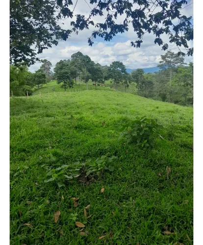 Venta Finca Montenegro Sector Vereda Pueblo Rico - 11 Cuadras