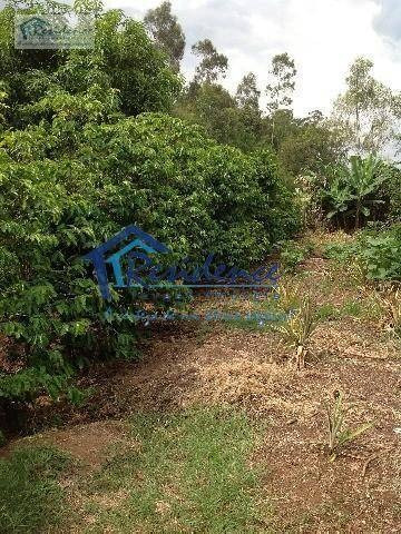 Imagem 9 de 27 de Sítio Com 4 Dormitórios, 29000 M² - Venda Por R$ 2.500.000,00 Ou Aluguel Por R$ 9.600,00 - Centro - Elias Fausto/sp - Si0002