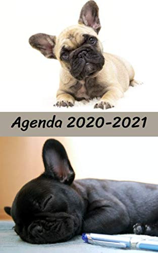 Agenda Escolar 2020 2021 - 300 Paginas - Portada : Bulldog F