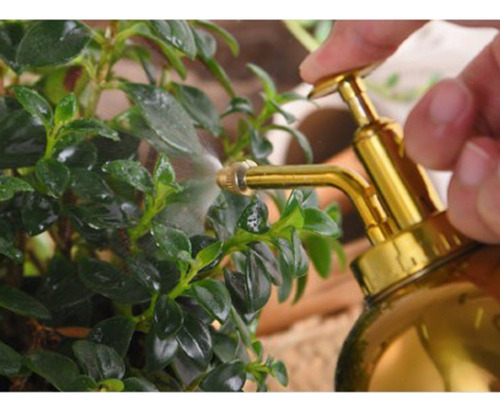 Para Gtx Regadera De Acero Inoxidable Para Regar Plantas Y