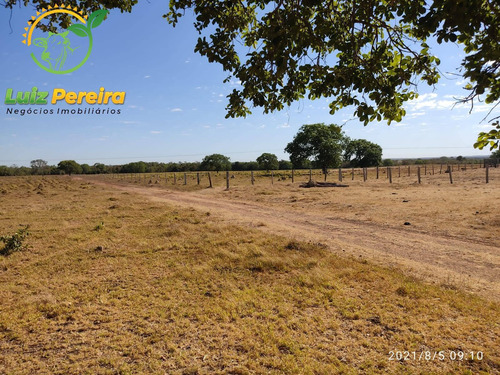 Imagem 5 de 15 de Fazenda À Venda No Vale Do Araguaia - To 532 Hec (dupla Aptidão) - 1912