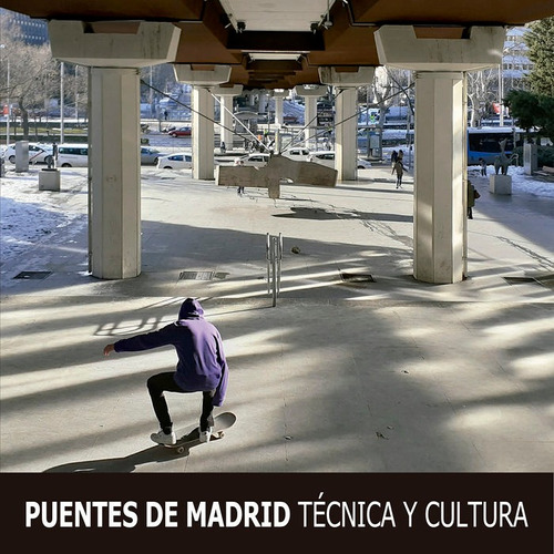 Libro Puentes De Madrid : Tecnica Y Cultura - Vvaa