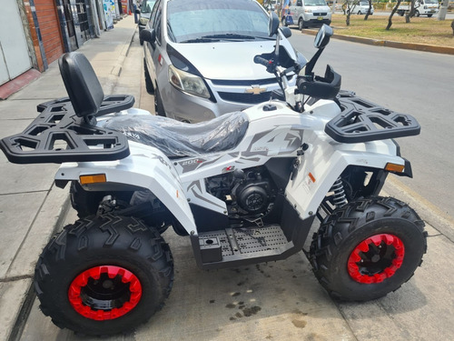Imagen 10 de 19 de Cuatrimoto Dynamic 200cc Superfull Radiador Pantalla Digit