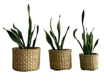 Comprar Combo! 3 Canastos De Junco Cilíndricos Med, Gde Y Extra Gde.