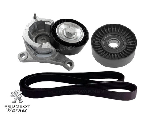 Kit Poly V Correa + Tensores Orig Peugeot 406 2.2 N 01-04