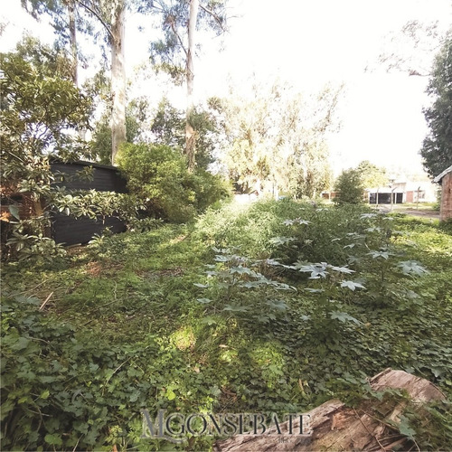 Imagen 3 de 5 de Terreno En Venta Mar Del Plata Barrio Bosque Peralta Ramos.
