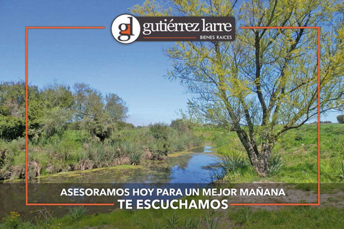 Campo 28 Ha Panorámicas Con Buenas Aguadas Naturales