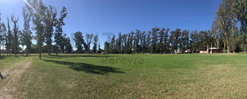 Imagen 7 de 8 de 13 Y 600 -venta De Lotes La Elvira Barrio Cerrado.