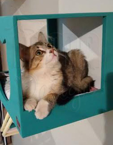 Imagem 3 de 4 de Nicho Toca Casinha Para Gatos
