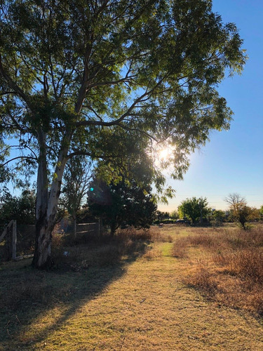 Imagen 8 de 14 de Lote De 6490 M2 Camino A Dique La Viña / Villa De Las Rosas
