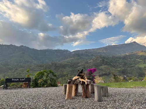 Vendo Finca En Machetá Cundinamarca A 1.5 Horas De Bogotá!