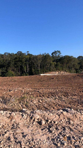 Imagem 10 de 22 de Terreno À Venda, 300 M² Por R$ 99.000,00 - Desvio Rizzo - Caxias Do Sul/rs - Te0225