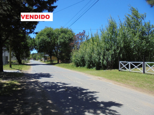 Terreno En Venta En San Bernardo