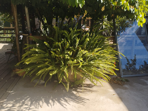 Se Arrienda Acogedora Casa En Olmué 2d,2 Y1/2b