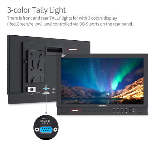 Seetec P173-9hsd 17.3 Pulgadas 1920x1080 Monitor De Escritor
