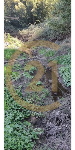 En Venta Terreno 2.9 Ha, Confluencia, Quillón