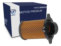 Comprar Elemento Filtrante Filtro De Aire Dm150 F08010159
