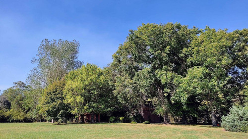 Imagen 28 de 30 de Gran Lote De 7,2ha En Venta Con Casas Quintas En Loma Verde,