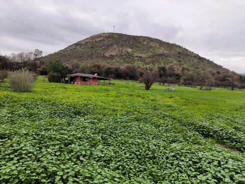 Terreno Uso Comercial