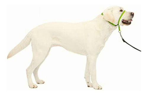 Petsafe Gentle Leader Collar Para Perro Sin Tirones, Manzana