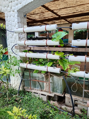 Hidroponia O Acuaponia, Estructura Y Caños Para 40 Macetas (Usado)