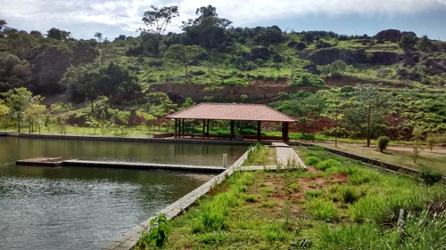 Imagem 4 de 22 de Fazenda 63 Alqueires, Rica Em Água Com 5 Lagos, 3 Casas Amplas, 3 Barracões, 1 Mangueirão, 1 Cocheira, 1 Galinheiro, 3 Casas De Funcionários, Pasto - Fa00189 - 70540162