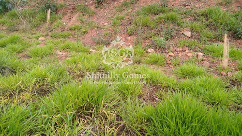 Imagem 9 de 14 de Terreno Com Área De 1.000 M² Em Condomínio.
