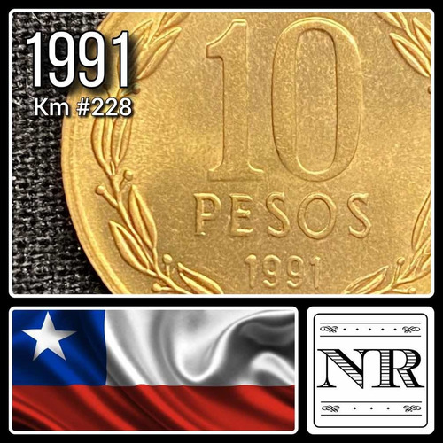 Chile - 10 Pesos - Año 1991 - Bronce - Km #228