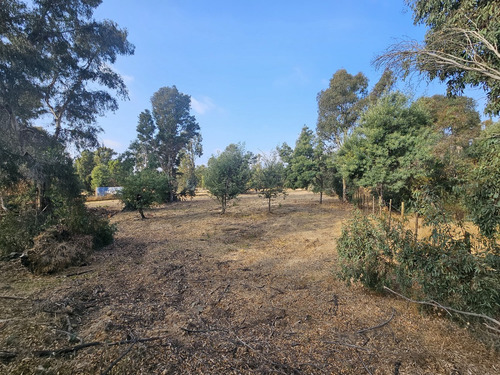 Vendo Sitio De 5580 M2 En Queronque Los Laureles Limache.