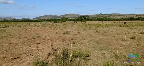 Excepcional Casa De Campo, Ideal Para Vivir Todo El Año, Costa De Arroyo Y A 30 Minutos De Punta
