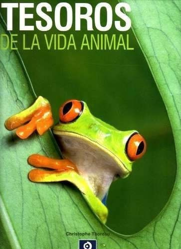 Tesoros De La Vida Animal - Christophe Thoreau, de Christophe Thoreau. Editorial Edimat Libros en español