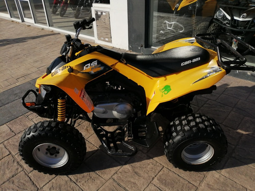 Imagen 4 de 10 de Can-am Ds 250 2013