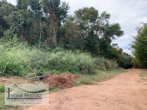 Imagem 4 de 6 de Terreno Em Barão De Javary - Miguel Pereira - 3308