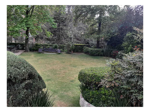 Imagen 6 de 12 de Extraordinario Terreno En Venta En Lomas De Chapultepec En