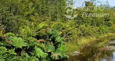 Parcela en venta